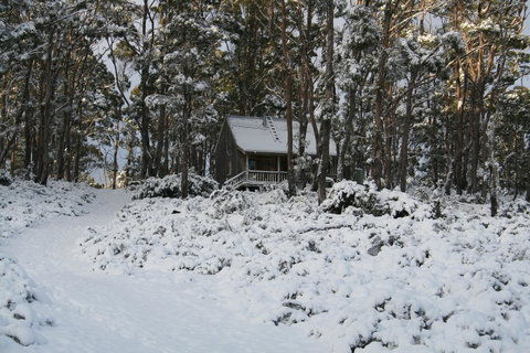Cradle Mountain Love Shack - Whitsundays Accommodation 7