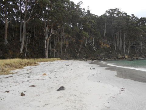 Bruny Ocean Cottage - Whitsundays Accommodation 12