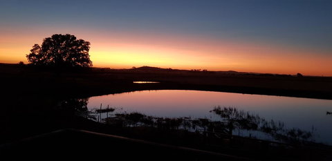 New Horizons Farm Stay - Whitsundays Accommodation 1