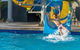Nobby Beach Holiday Village - thumb 0