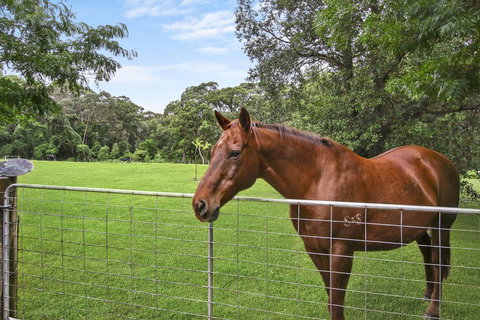 NUNGAROO COTTAGE - Whitsundays Accommodation 3