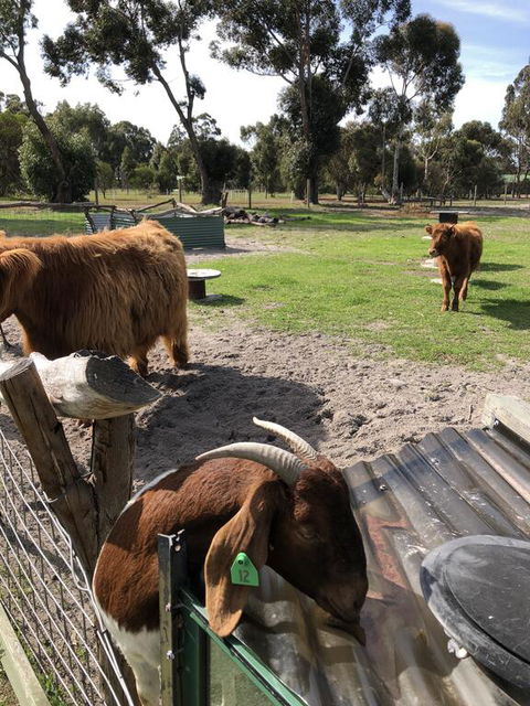 Nutcrackers Lodge - Whitsundays Accommodation 2