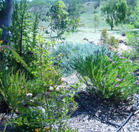 Old Miners' Cottages Bed and Breakfast - Whitsundays Accommodation