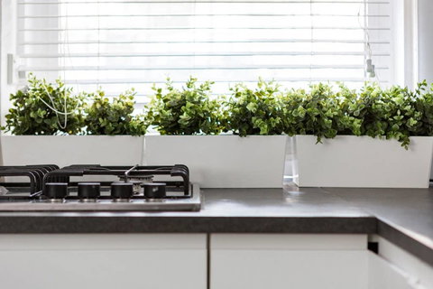 Paddington Apartment, Escape In Luxury - Whitsundays Accommodation 3