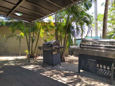 Palm Court Backpackers - Whitsundays Accommodation 2