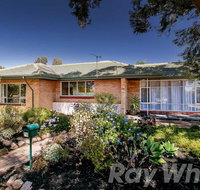 pasadena quinlan - Whitsundays Accommodation
