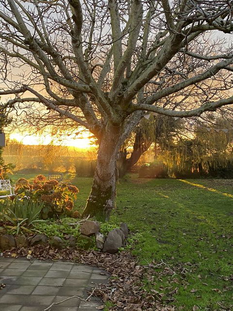 Peg Cottage - Whitsundays Accommodation 0