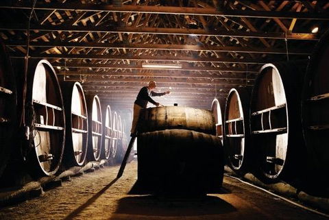Pieter Van Gent Winery & Vineyard - Whitsundays Accommodation 0