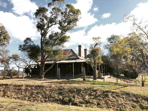 Pieter Van Gent Winery & Vineyard - Whitsundays Accommodation 3