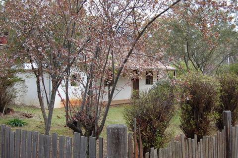 Pines Cottage - Whitsundays Accommodation 3