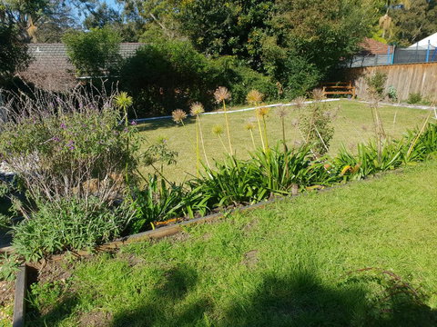 Poppies House - Whitsundays Accommodation 1