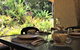 Rainforest Cottage Cairns - thumb 2