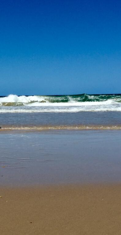 Ramada Resort Studio Split Queen Electric Adjustable Bed - Whitsundays Accommodation 3