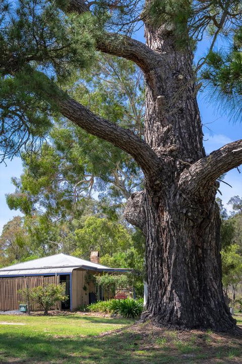 Rose Cottage - Whitsundays Accommodation 3