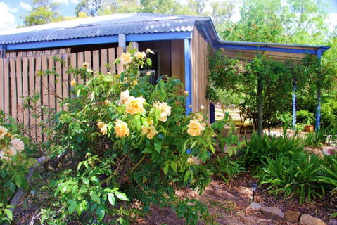 Rose Cottage - Whitsundays Accommodation 2
