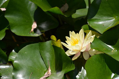 Salisbury Lodges - Whitsundays Accommodation 3