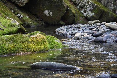 Salisbury Lodges - Whitsundays Accommodation 2