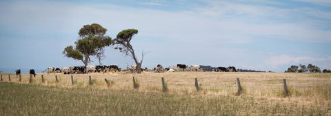 SALT - 37 Oceanview Drive - Whitsundays Accommodation 2