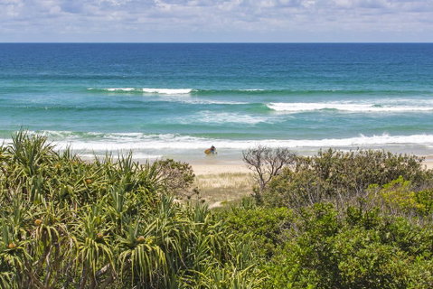 Sandpiper Beach Front House - Whitsundays Accommodation 3