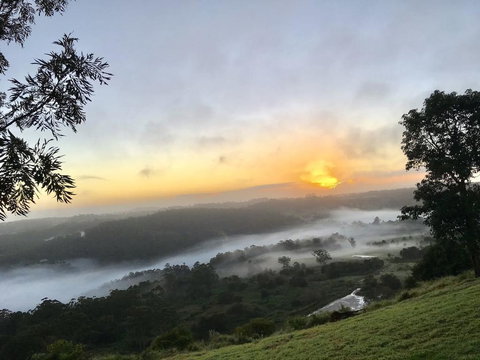 Scandinavian Cabin - Maleny - One Bedroom - Whitsundays Accommodation 2