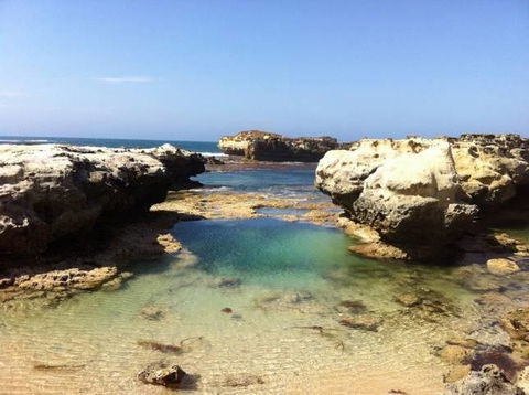 Seahorse Coastal Villas - Whitsundays Accommodation 2