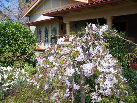 Shelton-Lea Bed & Breakfast - Whitsundays Accommodation 0