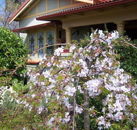 Shelton-Lea Bed  Breakfast - Whitsundays Accommodation