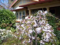 Book Katoomba Accommodation Vacations Whitsundays Accommodation Whitsundays Accommodation
