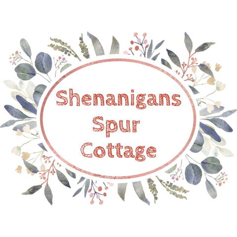 Shenanigans Spur Cottage - Whitsundays Accommodation 3