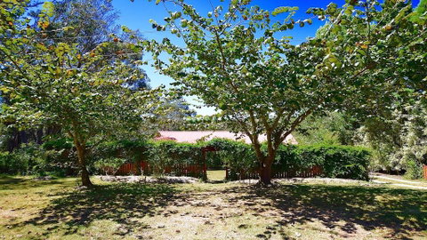 Shiralee's Rest Of Katoomba - Whitsundays Accommodation 0