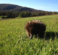 Silver Ridge Retreat - Whitsundays Accommodation