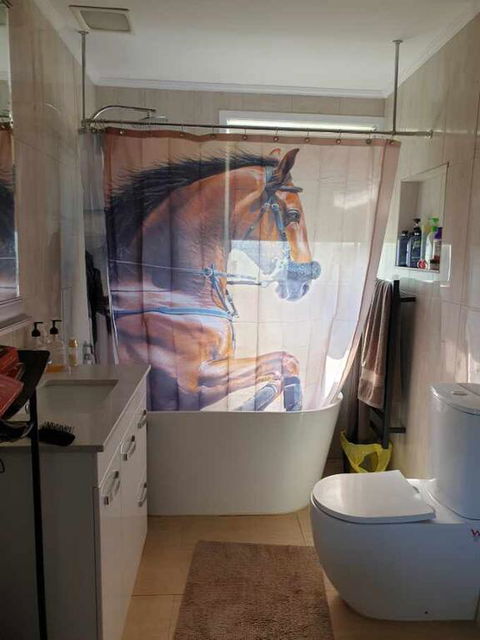 Silverbirch Cottage - Whitsundays Accommodation 3