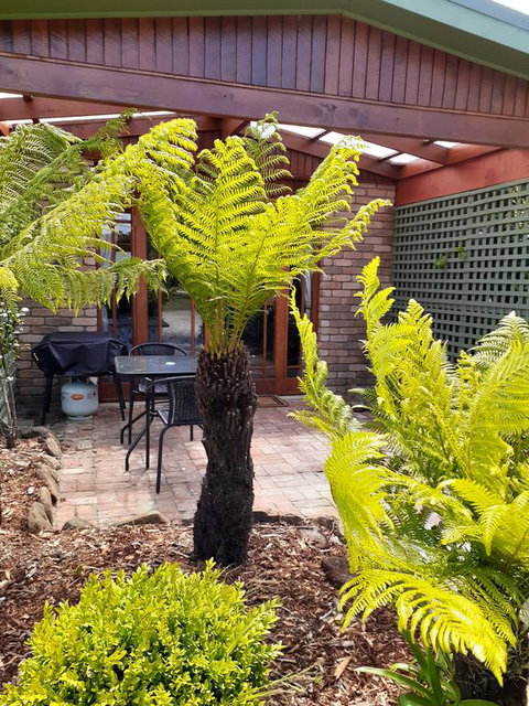 Sleepy Hollow Hideout (Hidout 2) - Whitsundays Accommodation 1