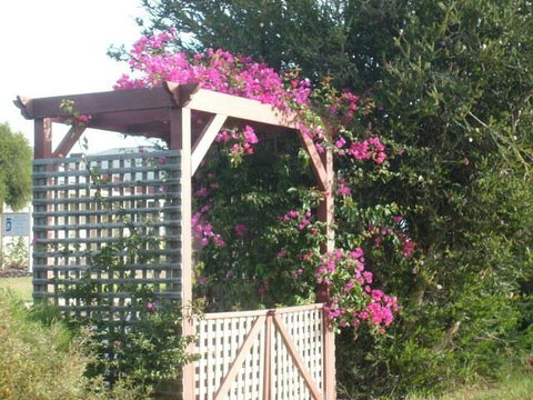 Southern Vales Bed & Breakfast - Whitsundays Accommodation 3