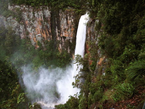 Springbrook Lyrebird Retreat - Whitsundays Accommodation 2
