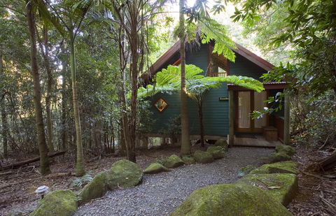Springbrook Lyrebird Retreat - Whitsundays Accommodation 1