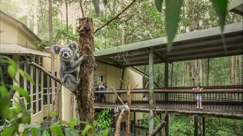 Springwood Meditation Centre - Whitsundays Accommodation 0