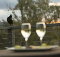 Stockton Rise Country Retreats - Whitsundays Accommodation