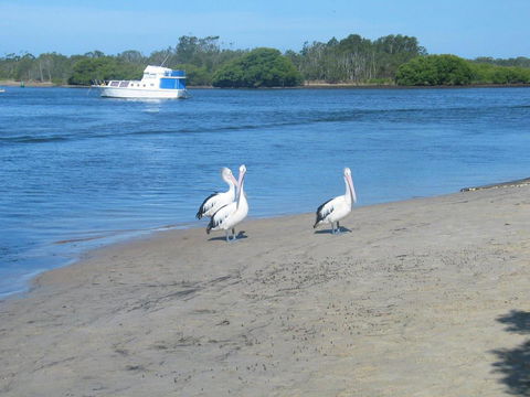 Stunning Holiday Townhouse - Whitsundays Accommodation 3