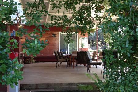 Sue's Sanctuary - Whitsundays Accommodation 1