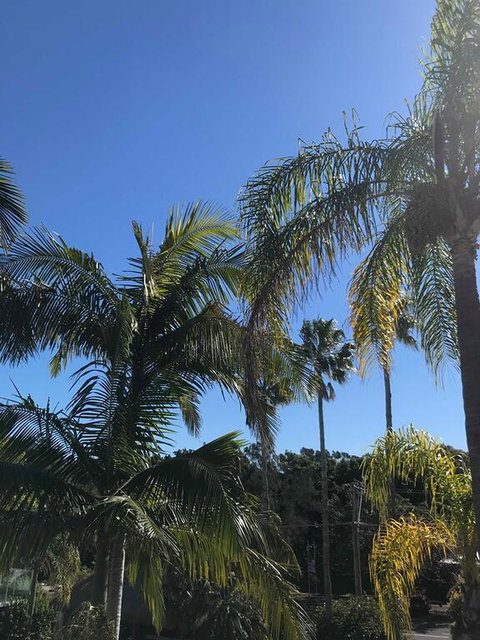 Terrigal Pacific Coastal Retreat - Whitsundays Accommodation 3