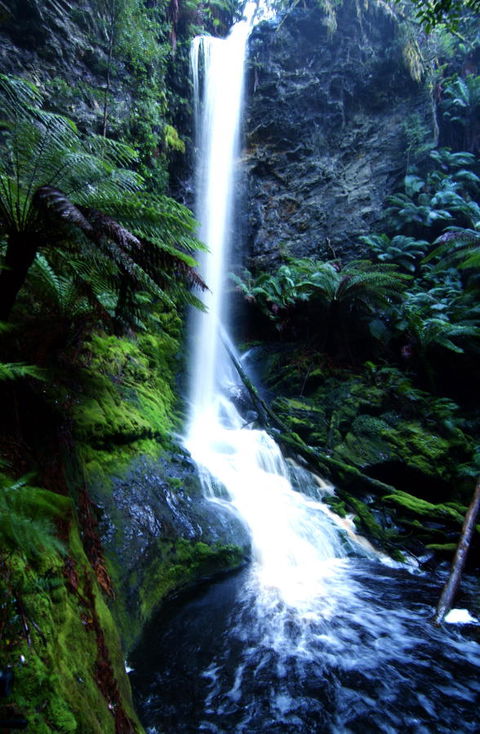 Corinna Wilderness Village - Whitsundays Accommodation 40