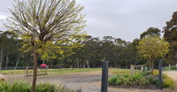 Book Lebrina Accommodation Vacations Whitsundays Accommodation Whitsundays Accommodation