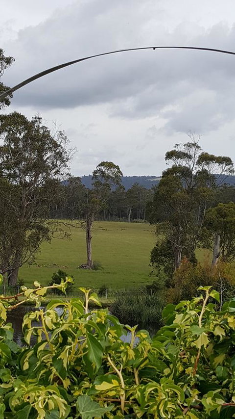 Hazelcreek Cottages - Whitsundays Accommodation 34