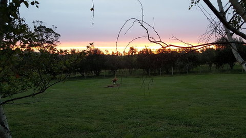 Hazelcreek Cottages - Whitsundays Accommodation 33