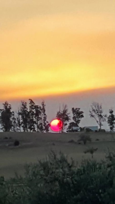 Hazelcreek Cottages - Whitsundays Accommodation 31