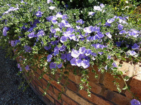 Hazelcreek Cottages - Whitsundays Accommodation 27