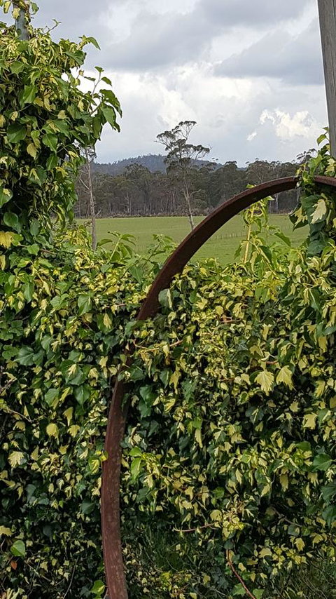 Hazelcreek Cottages - Whitsundays Accommodation 36