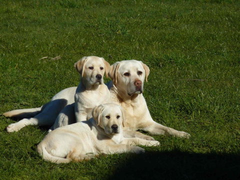 Hazelcreek Cottages - Whitsundays Accommodation 26