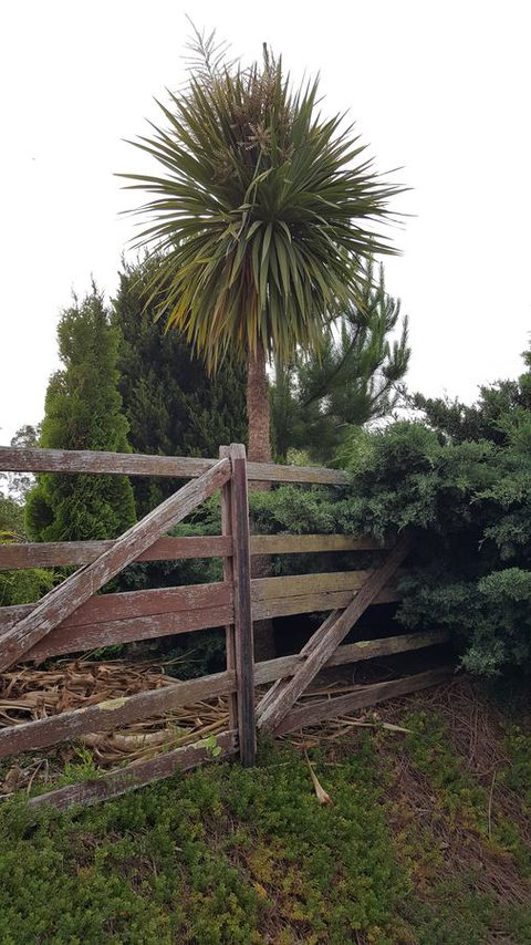 Hazelcreek Cottages - Whitsundays Accommodation 38